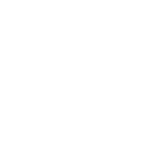 twelvivo-fav-icon